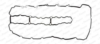 JM7098 PAYEN Прокладка, крышка головки цилиндра