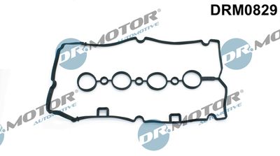 DRM0829 Dr.Motor Automotive Прокладка, крышка головки цилиндра