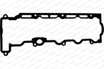 JM5159 PAYEN Прокладка, крышка головки цилиндра
