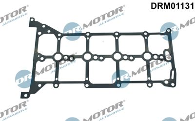 DRM01131 Dr.Motor Automotive Прокладка, крышка головки цилиндра