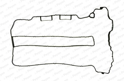 JM5071 PAYEN Прокладка, крышка головки цилиндра