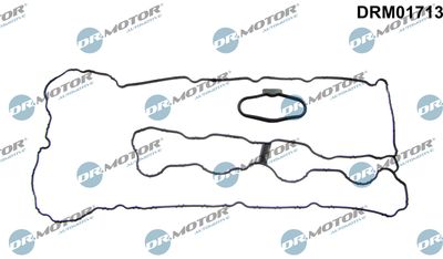 DRM01713 Dr.Motor Automotive Прокладка, крышка головки цилиндра