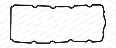 JM5119 PAYEN Прокладка, крышка головки цилиндра