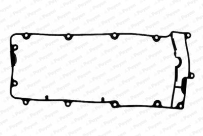JM5074 PAYEN Прокладка, крышка головки цилиндра