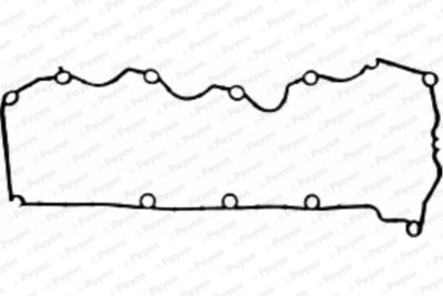 JM5163 PAYEN Прокладка, крышка головки цилиндра