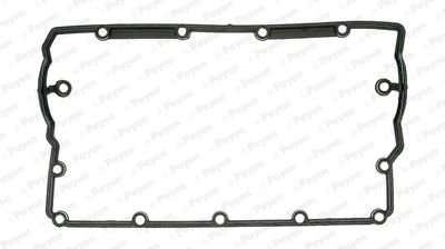 JM5203 PAYEN Прокладка, крышка головки цилиндра