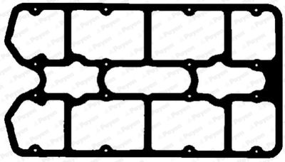 JN996 PAYEN Прокладка, крышка головки цилиндра