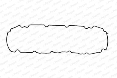 JM5045 PAYEN Прокладка, крышка головки цилиндра