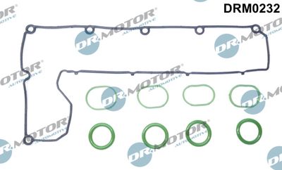 DRM0232 Dr.Motor Automotive Комплект прокладок, крышка головки цилиндра