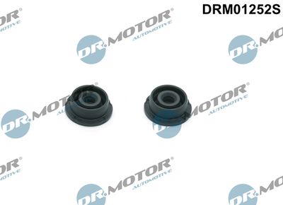 DRM01252S Dr.Motor Automotive Комплект прокладок, крышка головки цилиндра