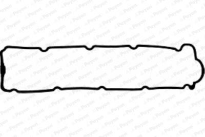 JM5063 PAYEN Прокладка, крышка головки цилиндра