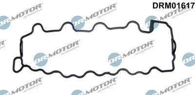 DRM01617 Dr.Motor Automotive Прокладка, крышка головки цилиндра