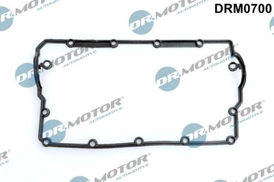 DRM0700 Dr.Motor Automotive Прокладка, крышка головки цилиндра