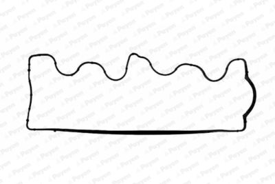 JM5028 PAYEN Прокладка, крышка головки цилиндра
