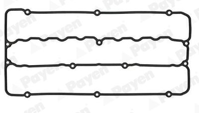 JM5232 PAYEN Прокладка, крышка головки цилиндра