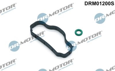 DRM01200S Dr.Motor Automotive Комплект прокладок, крышка головки цилиндра