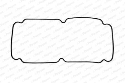 JN410 PAYEN Прокладка, крышка головки цилиндра