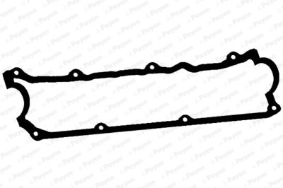 JM5138 PAYEN Прокладка, крышка головки цилиндра