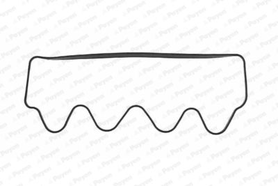 JN665 PAYEN Прокладка, крышка головки цилиндра