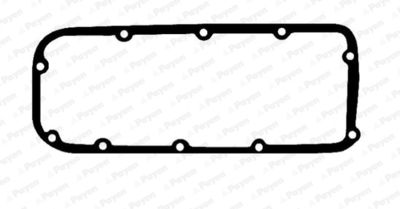 JN302 PAYEN Прокладка, крышка головки цилиндра