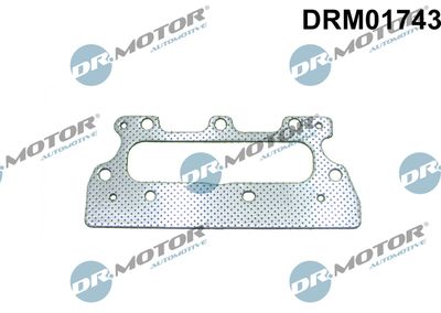 DRM01743 Dr.Motor Automotive Прокладка, выпускной коллектор