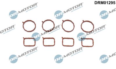 DRM01295 Dr.Motor Automotive Комплект прокладок, впускной коллектор