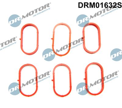 DRM01632S Dr.Motor Automotive Комплект прокладок, впускной коллектор