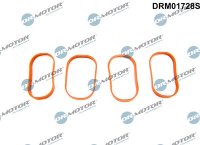 DRM01728S Dr.Motor Automotive Комплект прокладок, впускной коллектор