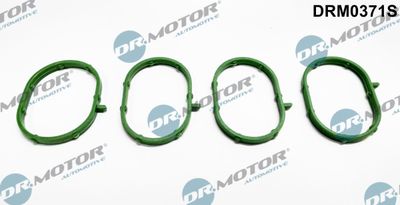 DRM0371S Dr.Motor Automotive Комплект прокладок, впускной коллектор