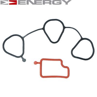 96352281 ENERGY Комплект прокладок, впускной коллектор