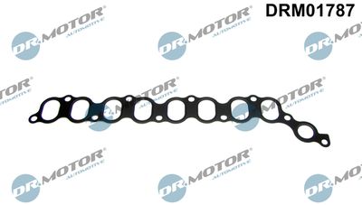 DRM01787 Dr.Motor Automotive Прокладка, впускной коллектор