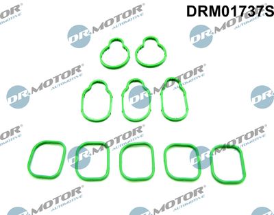 DRM01737S Dr.Motor Automotive Комплект прокладок, впускной коллектор