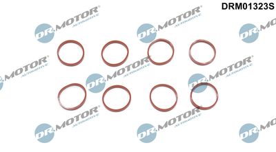 DRM01323S Dr.Motor Automotive Комплект прокладок, впускной коллектор