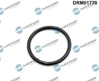 DRM01770 Dr.Motor Automotive Прокладка, впускной коллектор