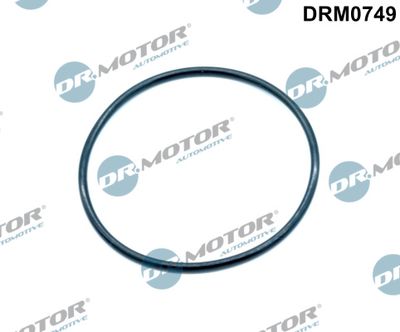 DRM0749 Dr.Motor Automotive Прокладка, впускной коллектор