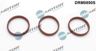 DRM0890S Dr.Motor Automotive Комплект прокладок, впускной коллектор