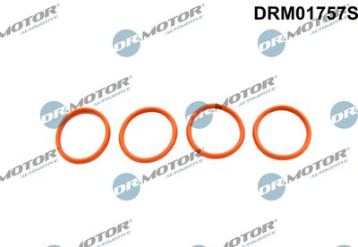 DRM01757S Dr.Motor Automotive Комплект прокладок, впускной коллектор