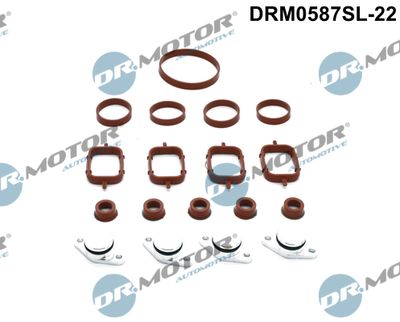 DRM0587SL22 Dr.Motor Automotive Комплект прокладок, впускной коллектор