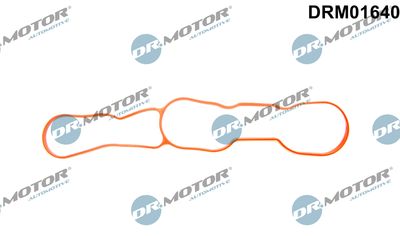 DRM01640 Dr.Motor Automotive Прокладка, впускной коллектор