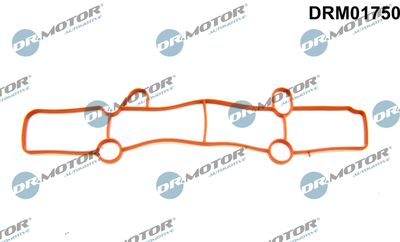 DRM01750 Dr.Motor Automotive Прокладка, впускной коллектор