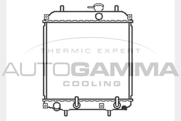 104054 AUTOGAMMA Радиатор, охлаждение двигателя