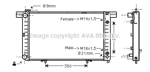 MS2120 PRASCO Радиатор, охлаждение двигателя