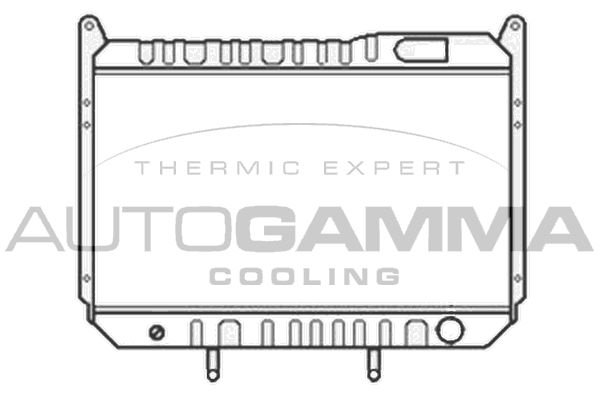 103346 AUTOGAMMA Радиатор, охлаждение двигателя