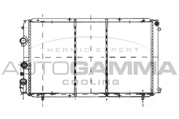 103002 AUTOGAMMA Радиатор, охлаждение двигателя