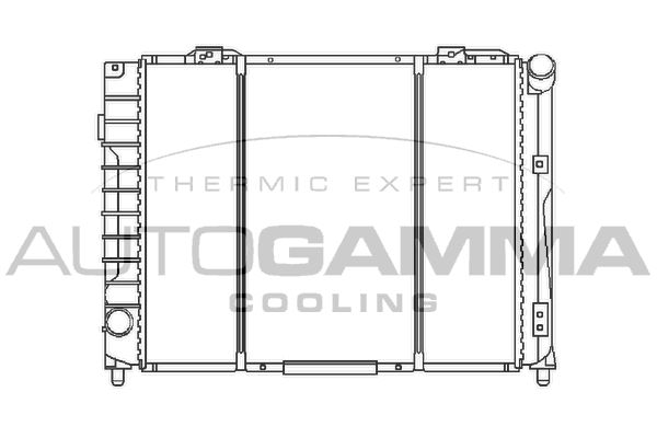 100020 AUTOGAMMA Радиатор, охлаждение двигателя