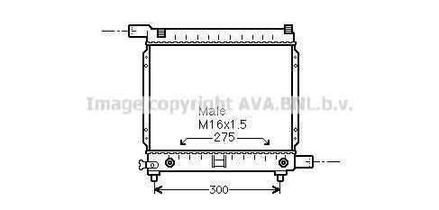 MS2064 AVA QUALITY COOLING Радиатор, охлаждение двигателя