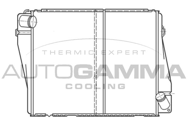 100081 AUTOGAMMA Радиатор, охлаждение двигателя