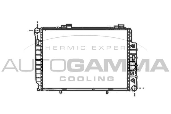 101316 AUTOGAMMA Радиатор, охлаждение двигателя