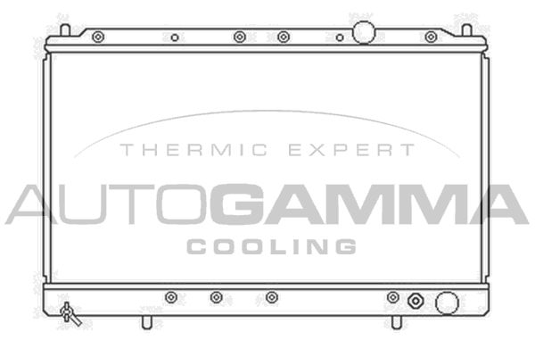 103162 AUTOGAMMA Радиатор, охлаждение двигателя