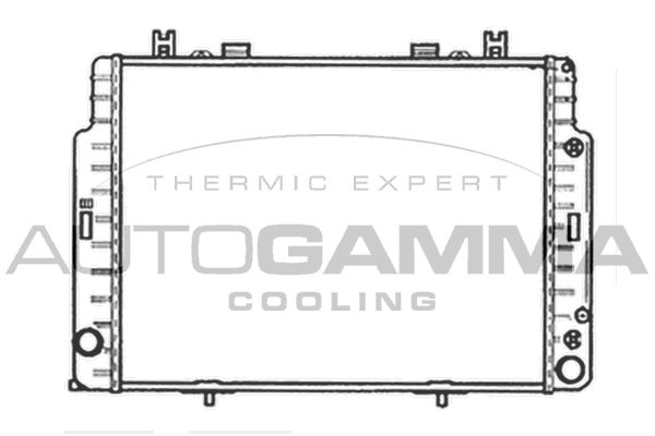 102163 AUTOGAMMA Радиатор, охлаждение двигателя